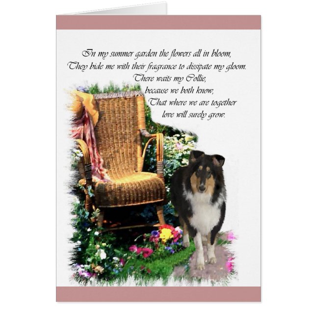 Driekleurige ruw collie-artikelen met kunstcadeaus (Voorkant)
