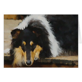 Driekleurige ruw collie-cadeaus
