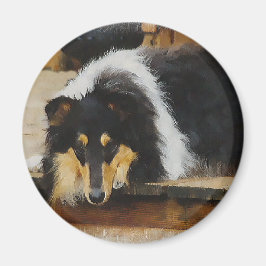 Driekleurige ruw collie-cadeaus magneet