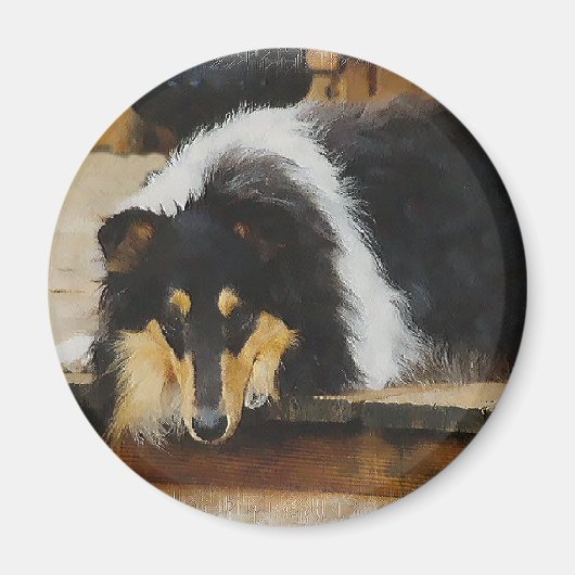 Driekleurige ruw collie-cadeaus magneet (Voorkant)