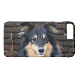Driekleurige Sheltie gezicht Case-Mate iPhone Case