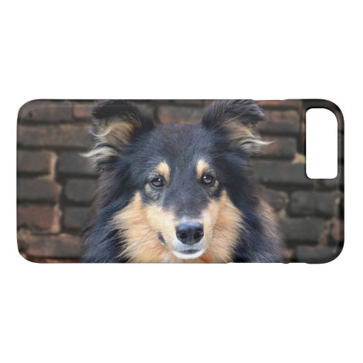 Driekleurige Sheltie gezicht Case-Mate iPhone Case (Achterkant (Horizontaal))