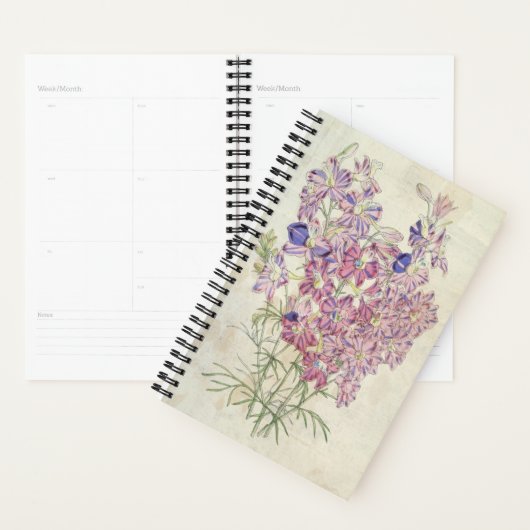 driekleurige vertakking Larkspur Planner (Display)