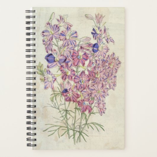 driekleurige vertakking Larkspur Planner (Voorkant)