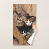 Driekundige kat Kittens wordt geconfronteerd met g Bad Handdoek (Handdoek)