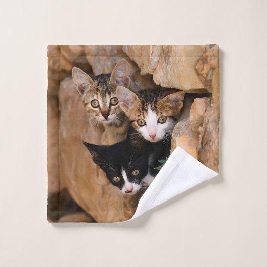 Driekundige kat Kittens wordt geconfronteerd met g Bad Handdoek (Wasdoekje)