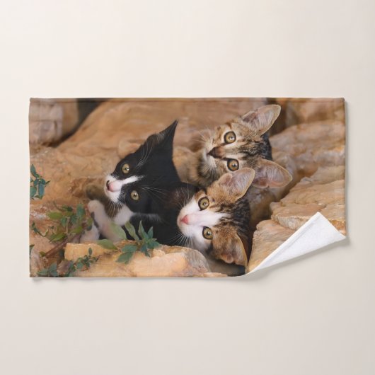 Driekundige kat Kittens wordt geconfronteerd met g Bad Handdoek (Handdoek)