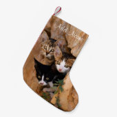 Driekundige kat Kittens wordt geconfronteerd met g Kleine Kerstsok (Voorkant (Hangend))