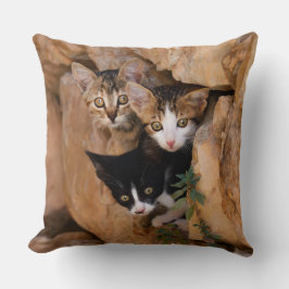 Driekundige kat Kittens wordt geconfronteerd met g Kussen