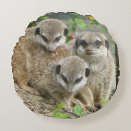 Driekundige Meerkats Round Pillow Rond Kussen