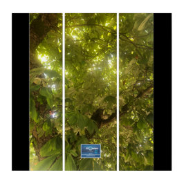Drieluik BL.(Zon Groene Boom 1)RFPMDesigns©️2021/2