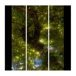 Drieluik BL.(Zon Groene Boom 2)RFPMDesigns©️2021/2