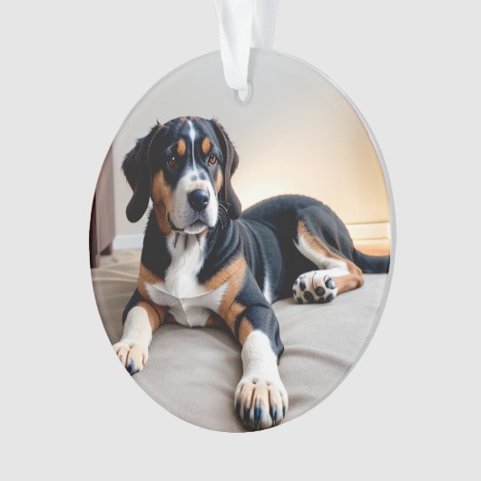 Drieluik Hond Portret Ornament (voorkant)