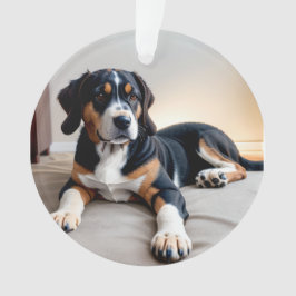 Drieluik Hond Portret Ornament