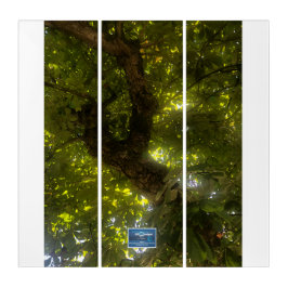 Drieluik Wh.(Zon Groene Boom 2)RFPMDesigns©️2021/2