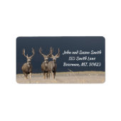 Driemuul Deer Bucks Adres Label (Voorkant)