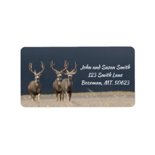 Driemuul Deer Bucks Adres Label