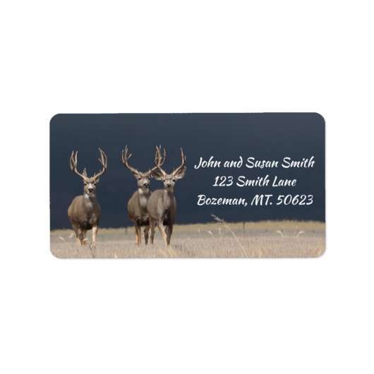 Driemuul Deer Bucks Adres Label (Voorkant)