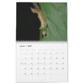 Driepijlerkalender Kalender (Mar 2027)