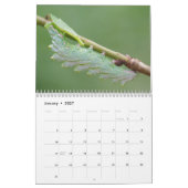 Driepijlerkalender Kalender (Jan 2027)