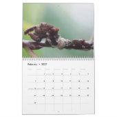 Driepijlerkalender Kalender (Feb 2027)