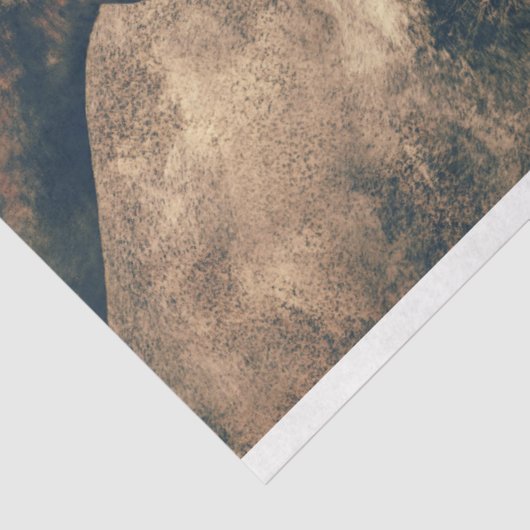 driepuntenpapier tissuepapier (Detail)