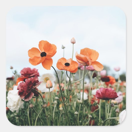Drietal Bloemen Sticker (Voorkant)