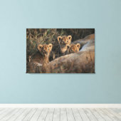 Drietal leeuwenwelpen met moeder canvas afdruk (Insitu (Houten vloer))