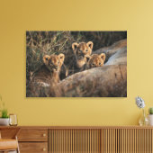 Drietal leeuwenwelpen met moeder canvas afdruk (Insitu (Woonkamer))