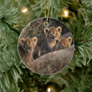 Drietal leeuwenwelpen met moeder keramisch ornament
