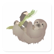 Drievingerige luiaard Hangen met geluk