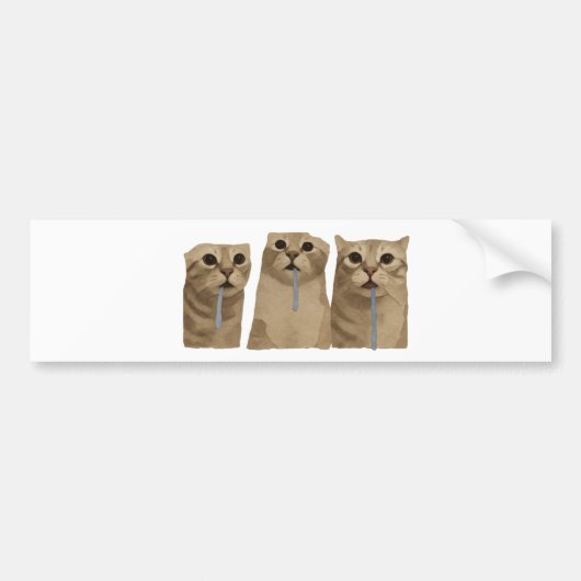 Drievoudig Kwijlende Dwaze Katten Meme Bumpersticker (Voorkant)
