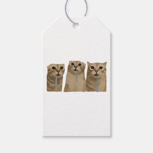 Drievoudig Kwijlende Dwaze Katten Meme Cadeaulabel (Voorkant)