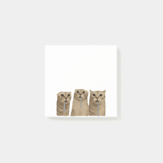 Drievoudig Kwijlende Dwaze Katten Meme Post-it® Notes (Voorkant)
