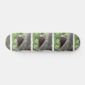 Drievoudig skateboard met sleuf (Horizontaal)