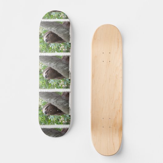 Drievoudig skateboard met sleuf (Voorkant)