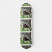 Drievoudig skateboard met sleuf (Voorkant)