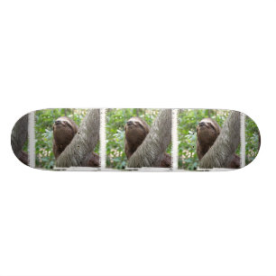 Drievoudig skateboard met sleuf