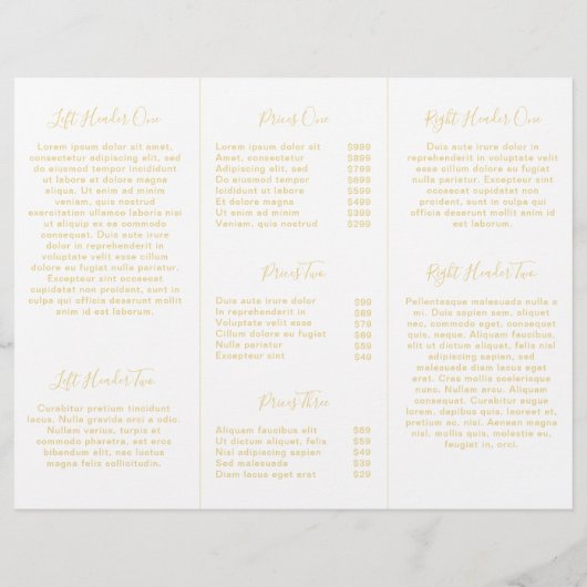 Drievoudige brochure voor roze en goudlegante vlin (Achterkant)