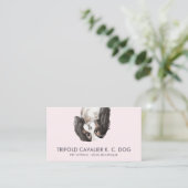 Drievoudige cavalier king charles hond visitekaartje (Staand voorkant)
