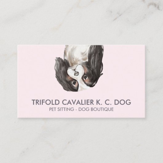 Drievoudige cavalier king charles hond visitekaartje (Voorkant)