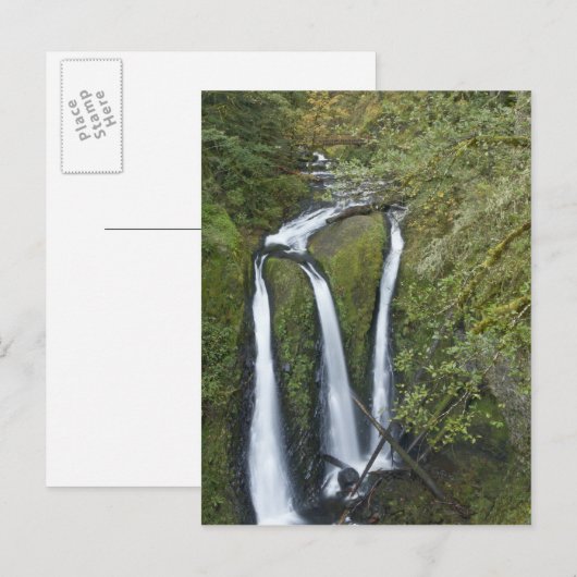 Drievoudige Herfsten, Columbia River Gorge Briefkaart (Voorkant / Achterkant)
