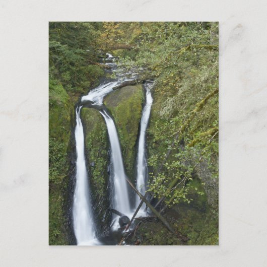 Drievoudige Herfsten, Columbia River Gorge Briefkaart (Voorkant)