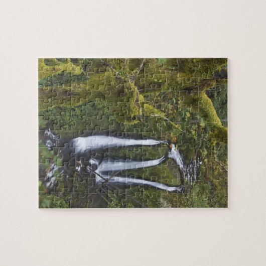 Drievoudige Herfsten, Columbia River Gorge Legpuzzel (Horizontaal)