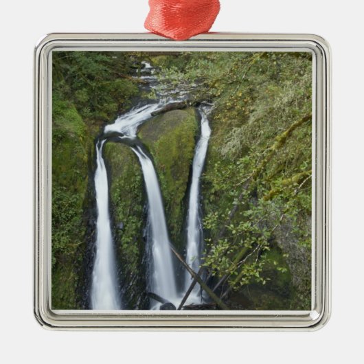 Drievoudige Herfsten, Columbia River Gorge Metalen Ornament (Voorkant)