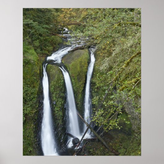 Drievoudige Herfsten, Columbia River Gorge Poster (Voorkant)