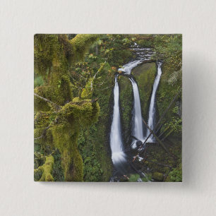 Drievoudige Herfsten, Columbia River Gorge Vierkante Button 5,1 Cm