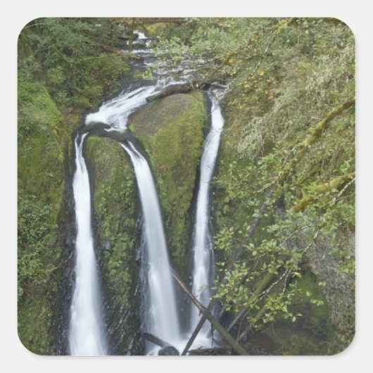 Drievoudige Herfsten, Columbia River Gorge Vierkante Sticker (Voorkant)