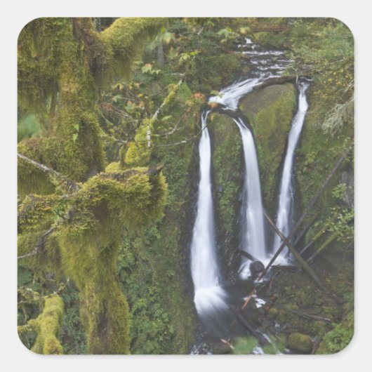 Drievoudige Herfsten, Columbia River Gorge Vierkante Sticker (Voorkant)