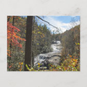 Drievoudige Herfsten North Carolina Fotografisch w Briefkaart (Voorkant)